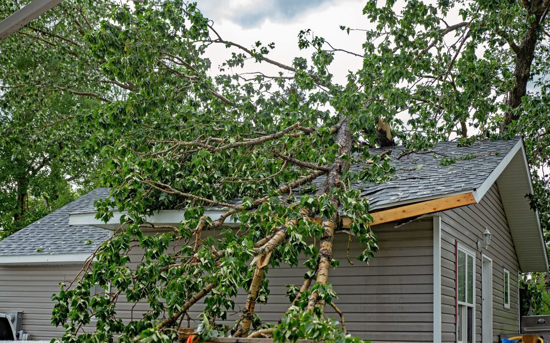Navigating Storm Damage Insurance: A Guide for Ohio & Kentucky Homeowners by Roofing for Troops